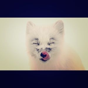 Meet your Posher, Caz